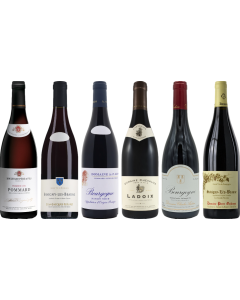 Red Burgundy Tasting Case
