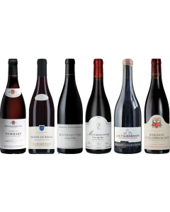 Red Burgundy Tasting Case