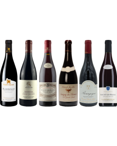 Red Burgundy Tasting Case