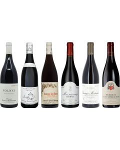 Red Burgundy Tasting Case