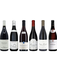 Red Burgundy Tasting Case