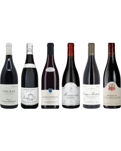 Red Burgundy Tasting Case