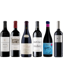 Ribera del Duero Premium Tasting Case