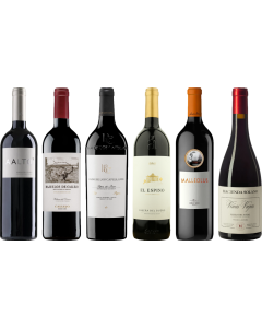 Ribera del Duero Premium Tasting Case