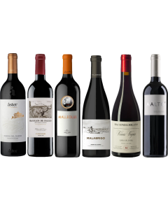 Ribera del Duero Premium Tasting Case