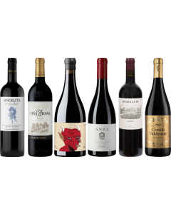 Rioja Premium Tasting Case