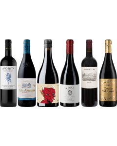 Rioja Premium Tasting Case