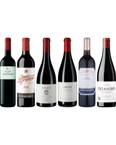 Rioja Premium Tasting Case