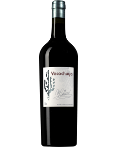 San Pedro de Yacochuya Yacochuya 2016