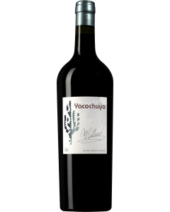 San Pedro de Yacochuya Yacochuya 2017