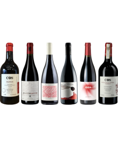 Sicily Red Wine Premium Tasting Case