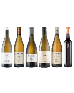 Slovenian White Wine Premium Tasting Case