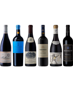 South African Red Wine Premium Tasting Case