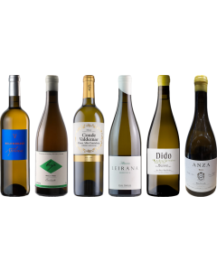 Spanish White Wine Premium Tasting Case