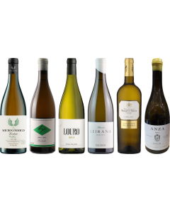 Spanish White Wine Premium Tasting Case