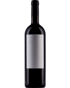 Stina Tribidrag 2017