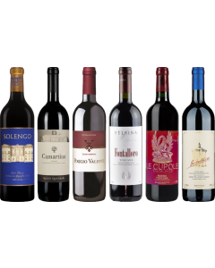 Super Tuscan Tasting Case