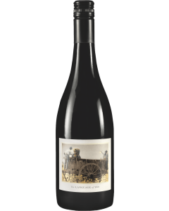 The Language of Yes Syrah 2022