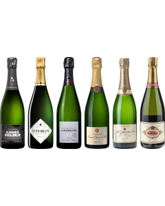 Top Value Champagne Tasting Case