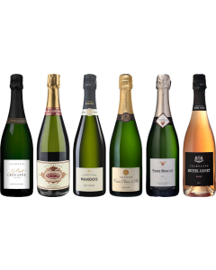 Top Value Champagne Tasting Case