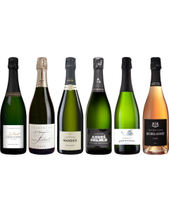 Top Value Champagne Tasting Case