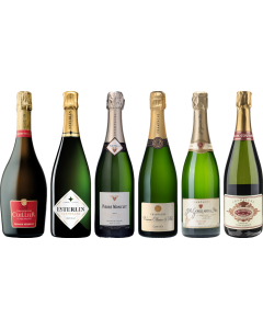 Top Value Champagne Tasting Case