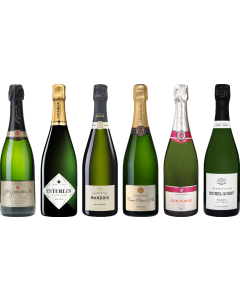 Top Value Champagne Tasting Case