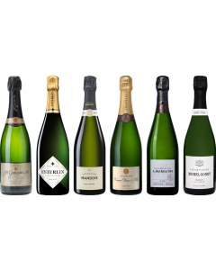 Top Value Champagne Tasting Case