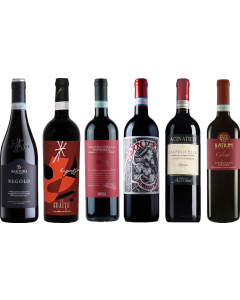 Valpolicella Ripasso Premium Tasting Case