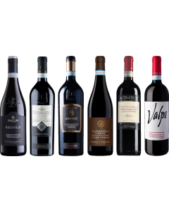 Valpolicella Ripasso Premium Tasting Case