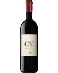 Quinta Vale D. Maria CV Curriculum Vitae 2014