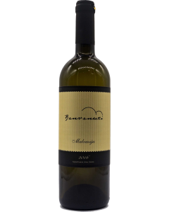 Benvenuti Malvasia 2016