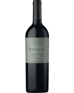 Vina Cobos Bramare Lujan de Cuyo Malbec 2021