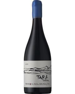 Ventisquero Tara Atacama Syrah 2015
