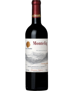 Vina von Siebenthal Montelig 2013