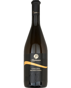 Cattunar Malvasia Collina 2015