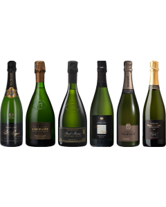 Vintage Champagne Premium Tasting Case