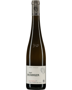 Weingut Birgit Eichinger Gaisberg Gruner Veltliner Erste Lage 2020