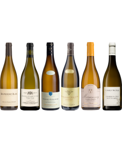 White Burgundy Tasting Case