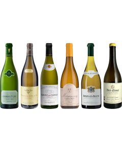 White Burgundy Tasting Case