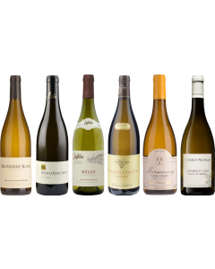 White Burgundy Tasting Case