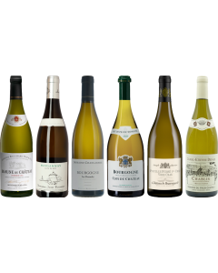 White Burgundy Tasting Case