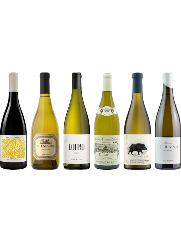 8Wines Staff Picks White Wine Tasting Case