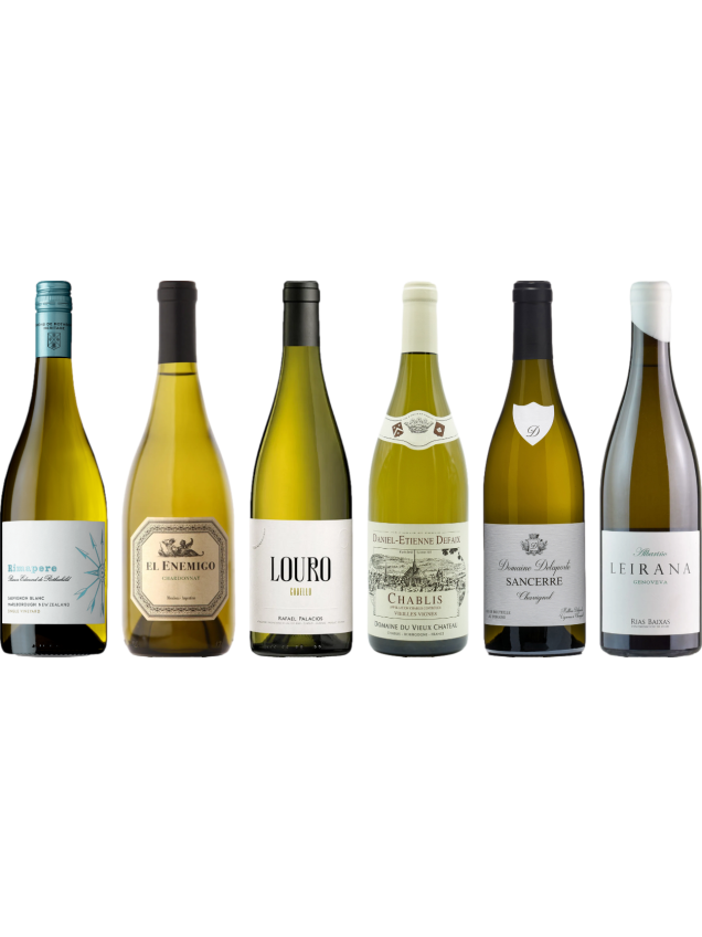 8Wines Staff Picks White Wine Tasting Case