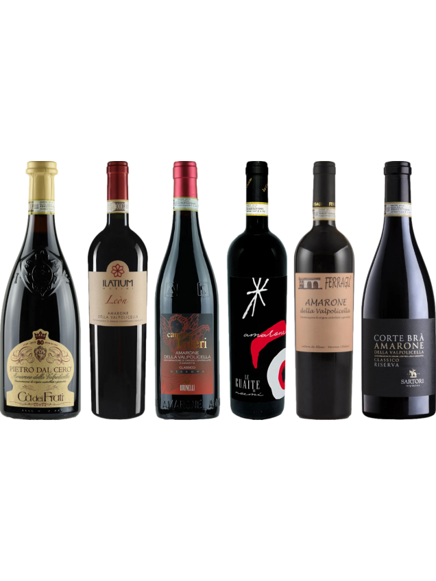 Amarone Premium Tasting Case