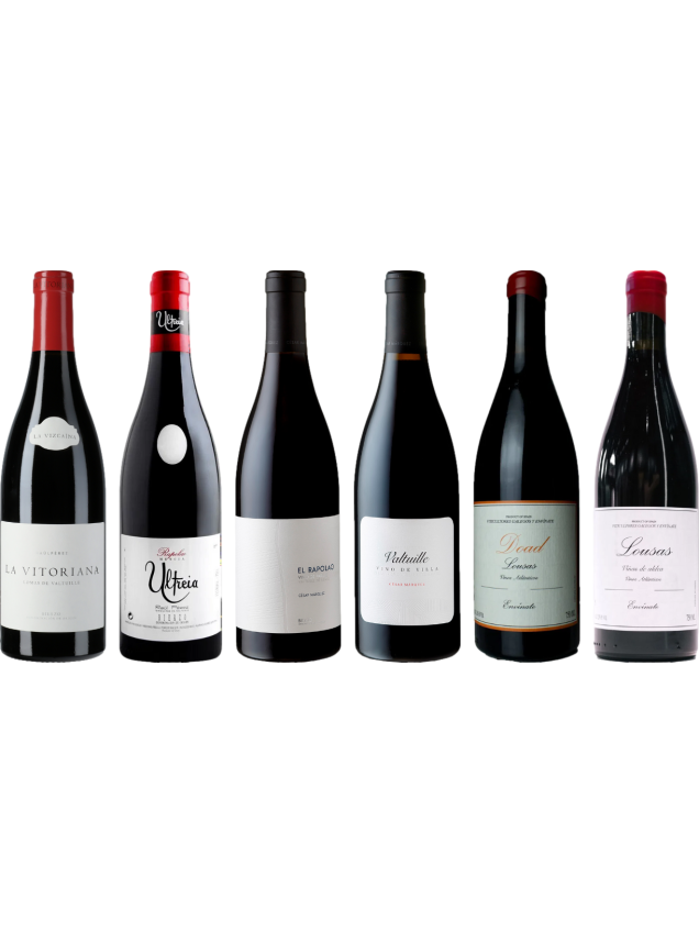 Bierzo and Galicia Mencia Premium Tasting Case