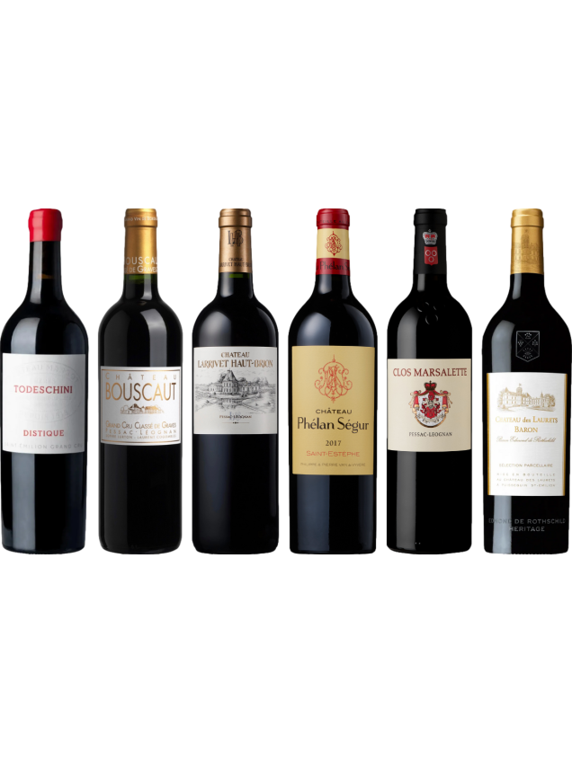 Bordeaux Red Tasting Case