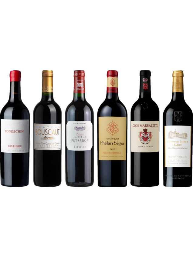 Bordeaux Red Tasting Case