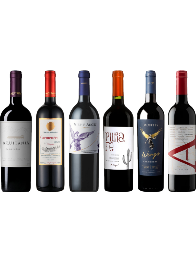 Carmenere Tasting Case