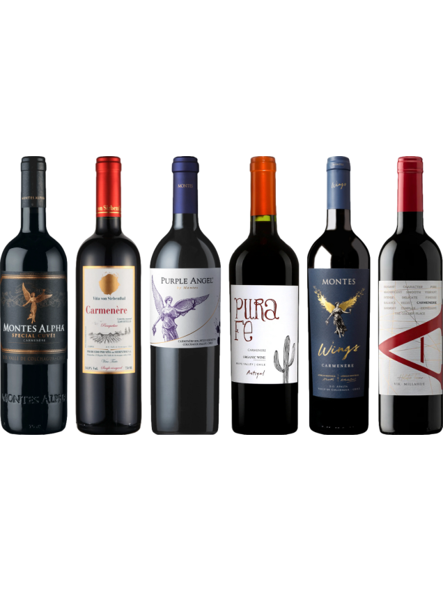 Carmenere Tasting Case